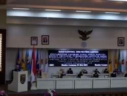 16 Rekomendasi Pansus LHP BPK