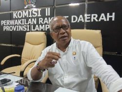 Tingkatkan Kesejahteraan Petani Singkong, Komisi II Apresiasi Kerjasama Pemprov dengan PT BAS