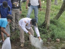 Hari Lingkungan Hidup Sedunia, Pemkab Pringsewu Tanam Pohon dan Tabur Benih Ikan