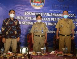 Dinas PMPTSP Gelar Sosialisasi Investasi Usaha Di Pesibar