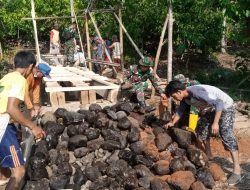 Kodim 0424/Tanggamus Giat Karya Bakti Pembuatan Jembatan Kayu di Talang Segar Tuyung