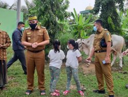 Dendi Serahkan Hewan Kurban Satu Ekor Sapi Atas Nama Keluarga ke Masjid Islamic Center