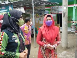 Bupati Tanggamus Serahkan 8 Mobil Ambulance Pekon