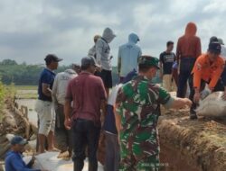 Jalan Utama Antar Kabupaten Amblas, Satgas PB dan Damkar Pringsewu Gotong-Royong Buat Jembatan