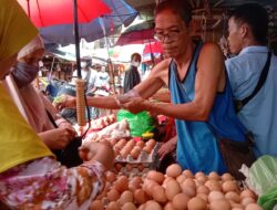 Harga Telur Ayam di Pasar Tradisional Turun Jadi Rp25 Ribu/Kg