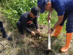 Satgas Penanggulangan Bencana dan Satria Biru Menanam Pohon Bersama Banser Pringsewu