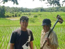 Ironi Petani di Tanah Sang Bumi Ruwa Jurai