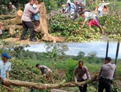 Polisi Bersama Warga Bersihkan Pohon Tumbang di Jalinsum Lampura