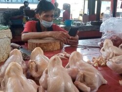 Sepekan Jelang Ramadan, Harga Ayam Potong Mengalami Kenaikan