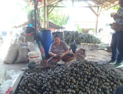 Harga Kolang Kaling Naik Dekat Ramadan