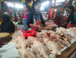Harga Daging Ayam Meroket