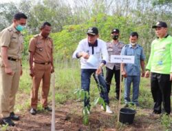 Peringati HLH Sedunia Pemkab Way Kanan Tanam 250 Bibit Pohon