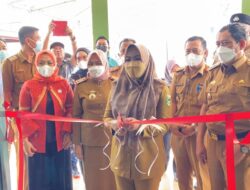 Bupati Tanggamus Luncurkan Layanan Mandiri dan Informasi Digital Pekon Margodadi