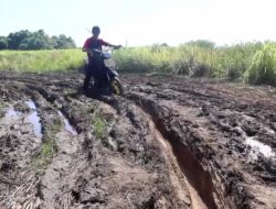 Jalan Panjang Berliku Menuju Way Haru