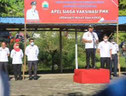 Lamsel Dapat 6.500 Dosis Vaksin PMK