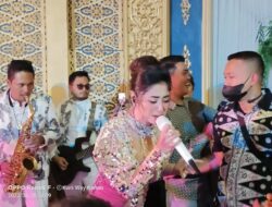 Dewi Persik Hipnotis Undangan Resepsi Pernikahan Anak Bupati Way Kanan