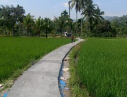 Realisasikan Program Ketahanan Pangan, Pekon Pagardewa Bangun Jalan Usaha Tani Sepanjang 327 Meter