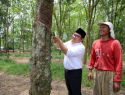 Sapa Petani Lampung, Muhaimin Iskandar: DPR Akan Perbanyak Subsidi Pupuk