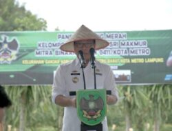 Wali Kota Metro Apresiasi Poktan Berhasil Budidayakan Bawang Merah