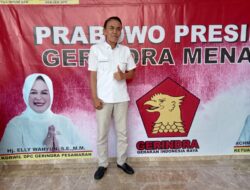 Ilham Alawi Kritik Pembangunan Jembatan Penyebrangan Pemkot Bandar Lampung