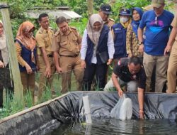 Pemkab Tubaba Berharap Program Keluarga Nenemo Mandiri Pangan Tekan Inflasi