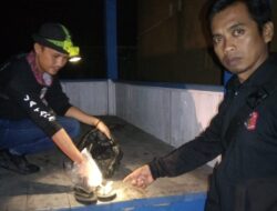 Terungkap Sudah Bayi Yang Lahir Digardu