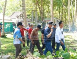Bupati Pesisir Barat Meninjau Lokasi Pelaku UMKM Pada Pagelaran Event WSL KRUI PRO QS 5000