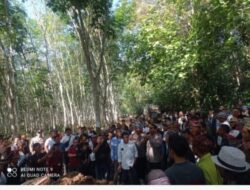 Aksi Demo Masyarakat Tidak Berpengaruh ke Karyawan PTPN 7 Way Berulu