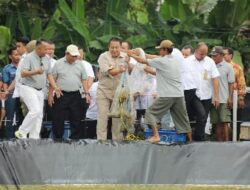 Arinal Panen Perdana Budidaya Udang Vaname Air Tawar di PKK Agropark Lampung