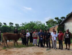 Semarak Hari Raya Idhul Adha, Pandawa Lampung Gelar Pemotongan Hewan Qurban
