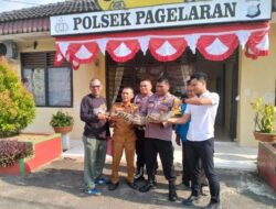 Polisi Serahkan Buaya Tangkapan Warga ke BKSDA