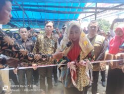 Bupati Tanggamus Luncurkan Program Listrik Pedesaan