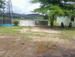Sekdis Perikanan Tubaba Akui Kolam Balai Benih Ikan Marga Kencana Sengaja Diterbengkalaikan