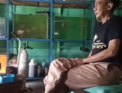 Kabid Dinas Perikanan Tubaba Buka-bukaan Soal Anggaran BBI Siap Diperiksa APH