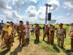 Pj Bupati Tuba Hadiri Panen Raya Padi Sawah Varietas Inpari 32