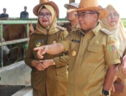 Berkomitmen Jaga Ketahanan Pangan di Provinsi Lampung, Pj. Gubernur Samsudin Dorong Peningkatan Pembibitan Ternak Sapi