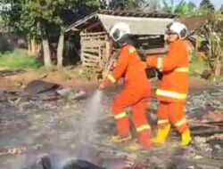 Damkar Pesawaran Sigap Menuju Lokasi Kebakaran di Rumah Milik Ujang Sila