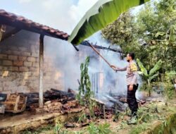 Si Jago Merah Lahap Rumah Warga Penumangan Baru Tubaba