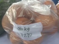 Harga Telur Ayam di Pasar Tradisional Naik Hingga Rp29 Ribu