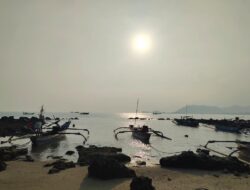 Produksi Perikanan Tangkap dan Budidaya di Lampung Capai 375.279 Ton di Tahun 2024