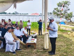 Lampung Jadi Daerah Pertama Pengembangan Bioetanol, Serap Ribuan Hektare Lahan Sorgum