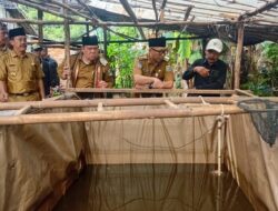 Mirza Tinjau PHC di Lampung Timur, Dorong Petani Tingkatkan Hasil Panen dan Kesejahteraan