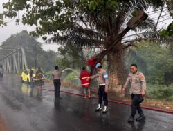 Pohon Sawit Terbakar di Jembatan Sindang Sari Kotabumi, Polisi dan Damkar Bergerak Cepat Padamkan Api