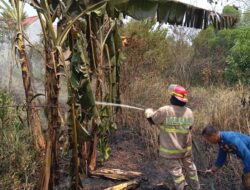 BPBD Bandar Lampung Imbau Masyarakat Tingkatkan Kewaspadaan Terhadap Potensi Karhutla