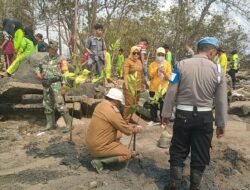 HUT TNI ke-81, Koramil 426-03/Rawa Jitu Tanam Mangrove di Kampung Bumi Depasena Agung