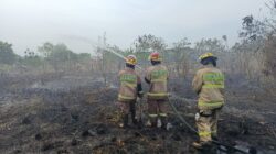 14 Personel Damkarmat Bandar Lampung Dikerahkan Pafankan Kebakaran Lahan Milik PT SBR