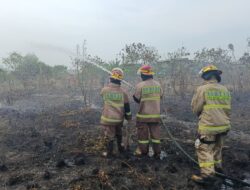 14 Personel Damkarmat Bandar Lampung Dikerahkan Pafankan Kebakaran Lahan Milik PT SBR